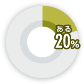 ある 20%