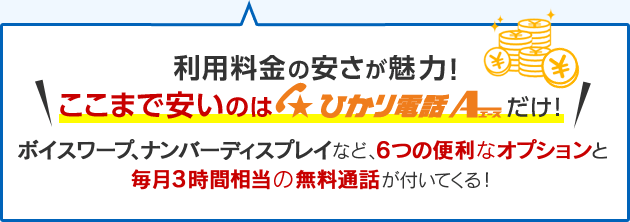 利用料金の安さが魅力！ここまで安いのはひかり電話エースだけ！ボイスワープ、ナンバーディスプレイなど、6つの便利なオプションと毎月3時間相当の無料通話が付いてくる！